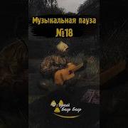 Музыкальная Пауза Сталкер