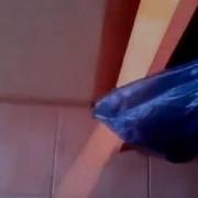 Кот Накакал В Раковину