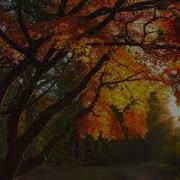 Dancing Line Autumn Slow