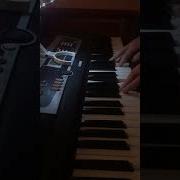 Rammstein Wiener Blut Keyboard