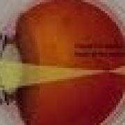 Skibidi Толчок Прячется В Туалете