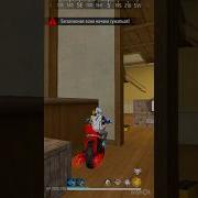 Баг На Невидимость В Free Fire