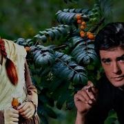 Палаускас Тебя Обидел Я