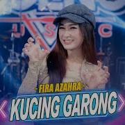 Kucing Garong Fira Azahra Ft Ageng Music Official Live Music Ageng Music Official