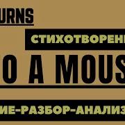 Английский Язык По Стихам Бернса С Переводом И Транскрипцией