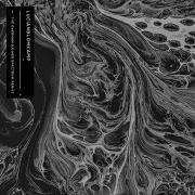 Lucianblomkamp The Overman Lower Spectrum Remix
