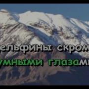 Дельфины Караоке