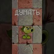 За Тобой Цветы На Китайском