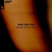 Wait For You Amémé Franc Fala