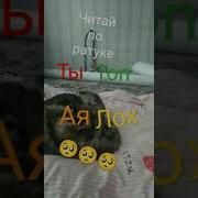 Ты Топ Ая Лох