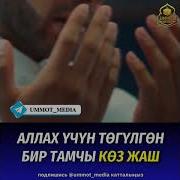 Бир Тамчы Коз Жаш