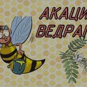Владимир Курский Акации Цветут