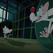 Pinky And The Brain Multilanguages Intro