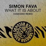 Simon Fava What It Is About Code3000 Remix
