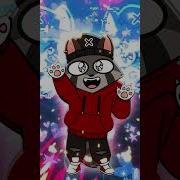 Zai Zai Zai Meow Meow Meow Rocky Rakoon