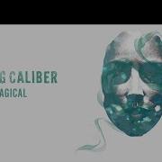 Running With The Lions Loving Caliber