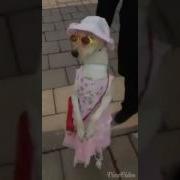 Қазақша Əзіл Өте Күшті Боқтаусыз