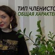 Тип Членистоногие