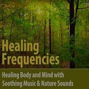 Healing Frequencies Birdsong And Music For Regeneration Max