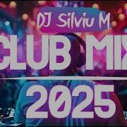 Paradise Musik Festival Best Dance Bass Music Theme 9 Bounce Remix 2025