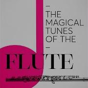 Visions And Whispers For Flute And Orchestra