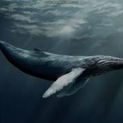 Однажды Корабль По Морю Плыл И Сто Морей Он Имя Носил