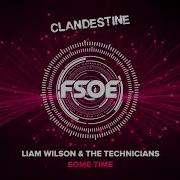 Some Time Liam Wilson The Technicians