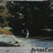 Swr Dying Alone In The Forest Pt 2 Outro
