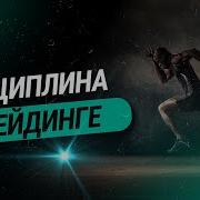 Дисциплина В Трейдинге
