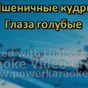 Чайки Караоке Минус