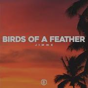 Birds Of A Feather Afro House Version Jimmx