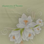 Dreamscape Simplification Translate