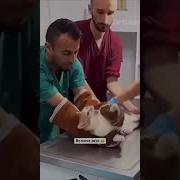 Зачем Вы Держите Меня За