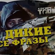 Фразы Из Таркова