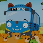 Tayo The Little Bus Sobbing