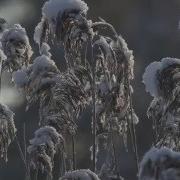 С Днём Рождения Рождения Папа