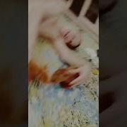 Сосут Хуй Порка По Попке