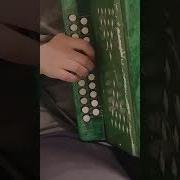Цыганочка Как Играть На Гармони С Цифрами
