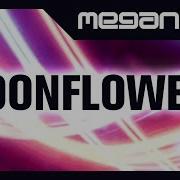 Meganeko Moonflowers