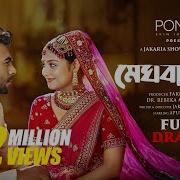 নত ন ব উল গ ন ২০২৫