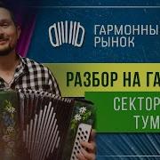 Разбор На Гармони Сектор Газа Туман