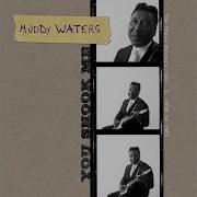 Muddy Waters Twist Muddy Waters