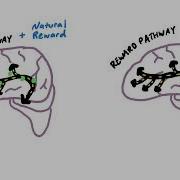 Element Dopamine Addicted