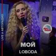 Лобода Мойlive