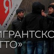 Иммигранты Чурки