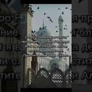 Простите Меня Ради Аллаха