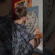 Tiger Progress