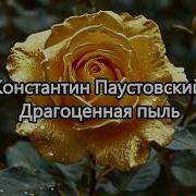 Паустовский Драгоценная Пыль