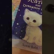 Котёнок Усатик Или Отважное Сердце