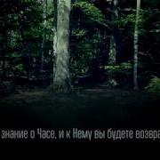 Abdurrahman Al Sweden Сура Аз Зухруф Украшения 67 89
